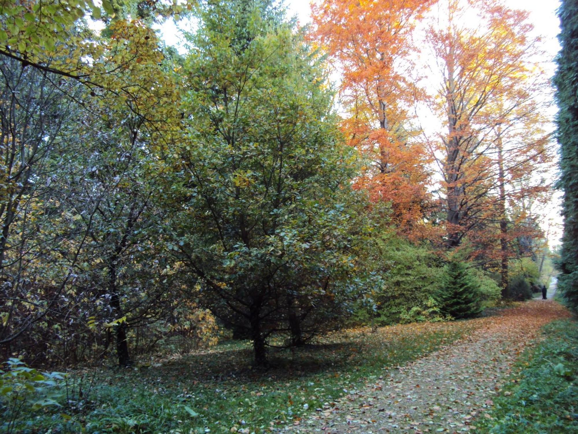 Bed and Breakfast Fuezi Panzio Sopron Esterno foto